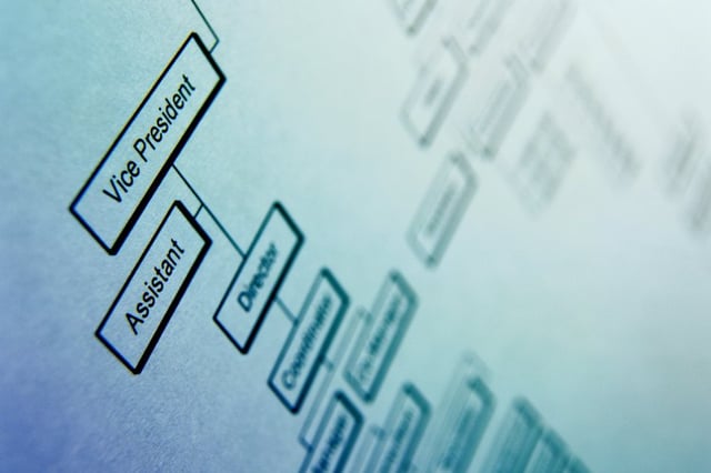 How to Successfully Implement Organizational Structure Into an Organization
